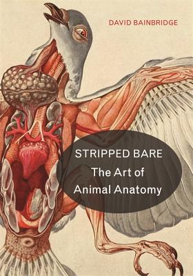 Stripped Bare: The Art of Animal Anatomy - Bainbridge, David
