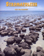 Stromatolites - McNamara, Kenneth J.