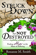 Struck Down But Not Destroyed: Finding Hope in the Maze of Suffering