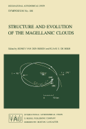 Structure and Evolution of the Magellanic Clouds