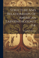 Structure and Relationships of American Labyrinthodontid