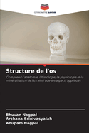 Structure de l'os