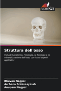 Struttura dell'osso