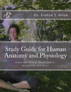 Study Guide for Human Anatomy and Physiology: Endocrine System, Blood Vessels, Blood Flow and Heart