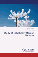 Study of Light Heavy Flavour Hadrons