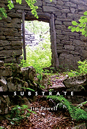 Substrate