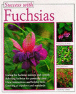 Success with Fuchsias.