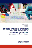 Sucrose Synthesis, Transport and Accumulation in Saccharum Genotypes