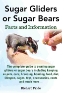 Sugar Gliders or Sugar Bears: Facts and Information