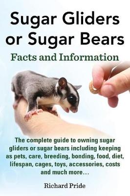 Sugar Gliders or Sugar Bears: Facts and Information - Pride, Richard