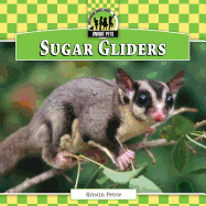 Sugar Gliders