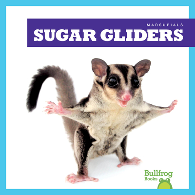 Sugar Gliders - Deniston, Natalie