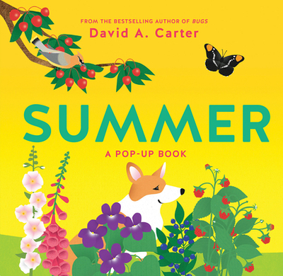 Summer: A Pop-Up Book - Carter, David