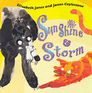 Sunshine and Storm - Jones, Elisabeth, and Coplestone, James