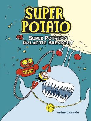 Super Potato's Galactic Breakout - 