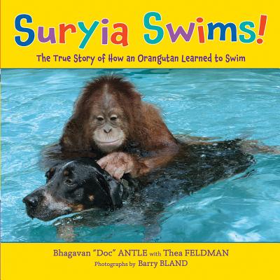 Suryia Swims!: The True Story of How an Orangutan Learned to Swim - Feldman, Thea (As Told by)