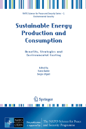 Sustainable Energy Production and Consumption: Benefits, Strategies and Environmental Costing - Barbir, Frano (Editor), and Ulgiati, Sergio (Editor)