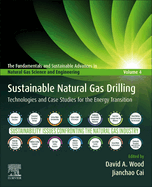 Sustainable Natural Gas Drilling: Technologies and Case Studies for the Energy Transition