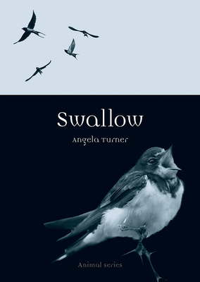 Swallow - Turner, Angela