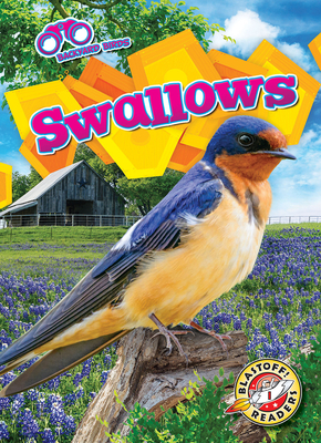 Swallows - Barnes, Rachael