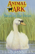 Swan in the swim