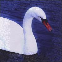 Swansong - Magal