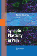 Synaptic Plasticity in Pain