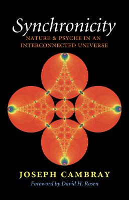 Synchronicity: Nature and Psyche in an Interconnected Universe - Cambray, Joseph, Dr., Ph.D., and Rosen, David H (Foreword by)