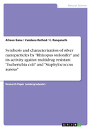 Synthesis and characterization of silver nanoparticles by "Rhizopus stolonifer" and its activity against multidrug resistant "Escherichia coli" and "Staphylococcus aureus"