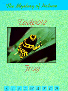 Tadpole to Frog