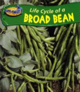Take-Off! Life Cycle of a: Broad Bean