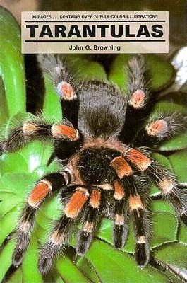 Tarantulas - Browning, John