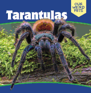 Tarantulas