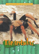 Tarantulas - Steele, Christy