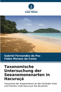 Taxonomische Untersuchung der Seeanemonenarten in Itacuru?