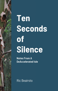 Ten Seconds of Silence: Notes From A DeAccelerated Isle