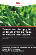 Teneur en chlorophylle en fin de cycle du ni?b? en culture intercalaire