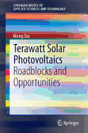 Terawatt Solar Photovoltaics: Roadblocks and Opportunities