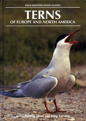 Terns of Europe and North America - Larsson, Hans, and Malling Olsen, Klaus