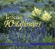 Texas Wildflowers