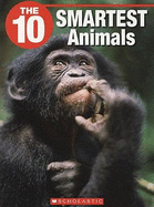 The 10 Smartest Animals