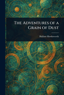 The Adventures of a Grain of Dust