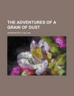 The Adventures of a Grain of Dust