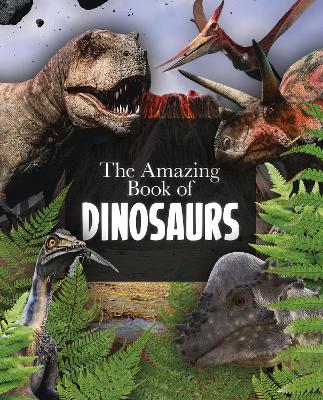 The Amazing Book of Dinosaurs - Hibbert, Clare