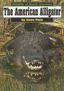 The American Alligator