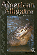 The American Alligator