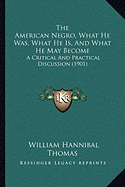 The American Negro, What He Was, What He Is, And What He May Become: A Critical And Practical Discussion (1901)