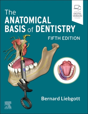 The Anatomical Basis of Dentistry - Liebgott, Bernard, Dds, PhD