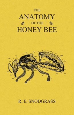 The Anatomy of the Honey Bee - Snodgrass, R E
