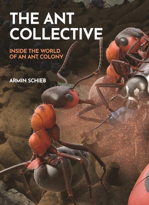 The Ant Collective: Inside the World of an Ant Colony - Schieb, Armin
